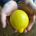 Child holding lemon