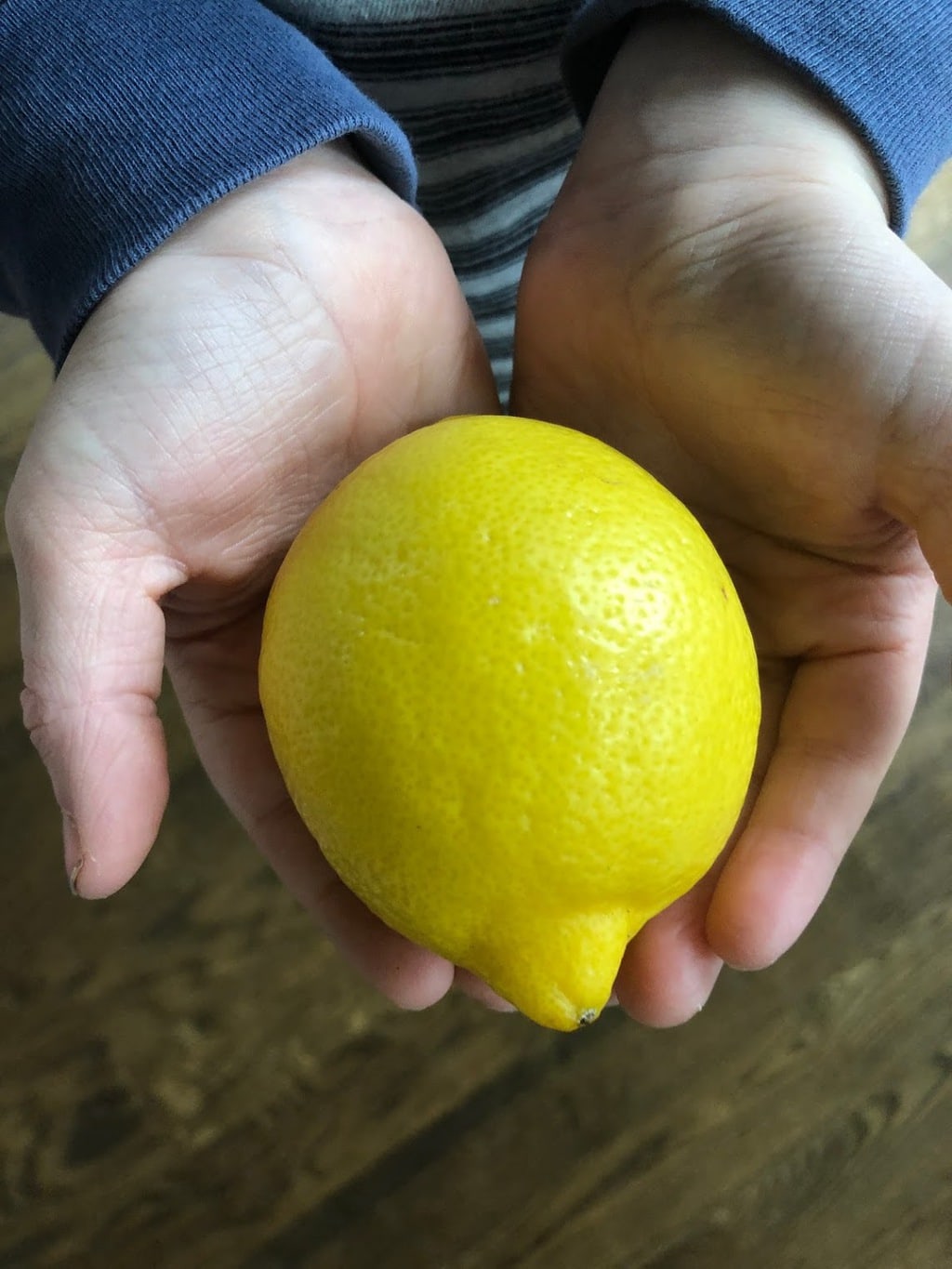 Child holding whole lemon