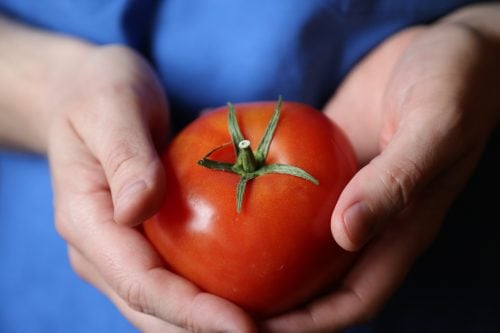 Person holding large red tomato