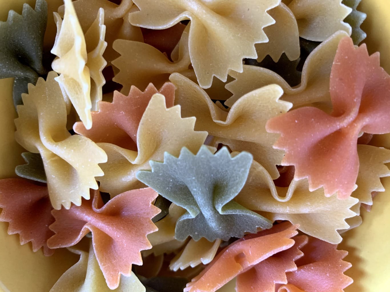 Bow TIe Pasta in bowl