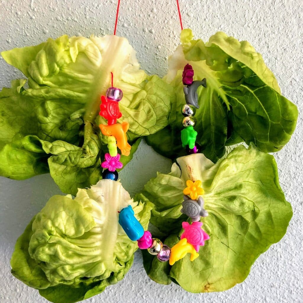 red string necklace with lettuce and rainbow beads