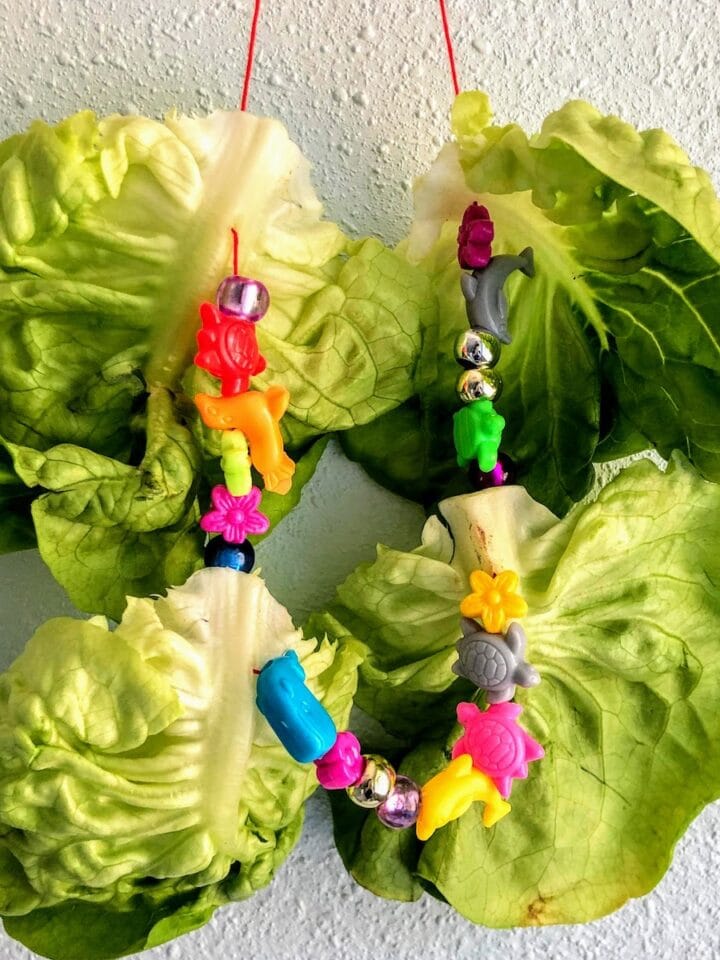 red string necklace with lettuce and rainbow beads