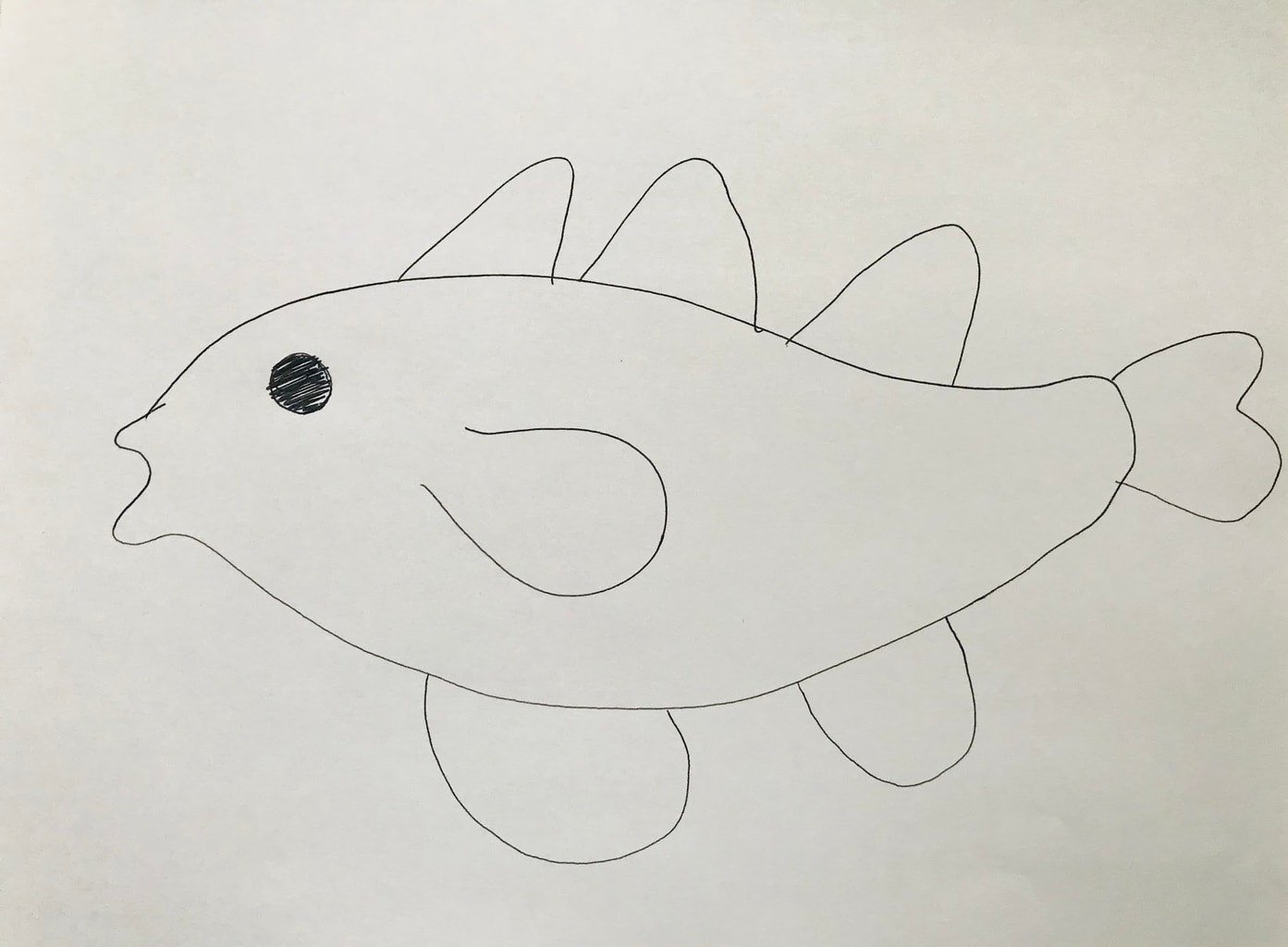 outline of cod on paper