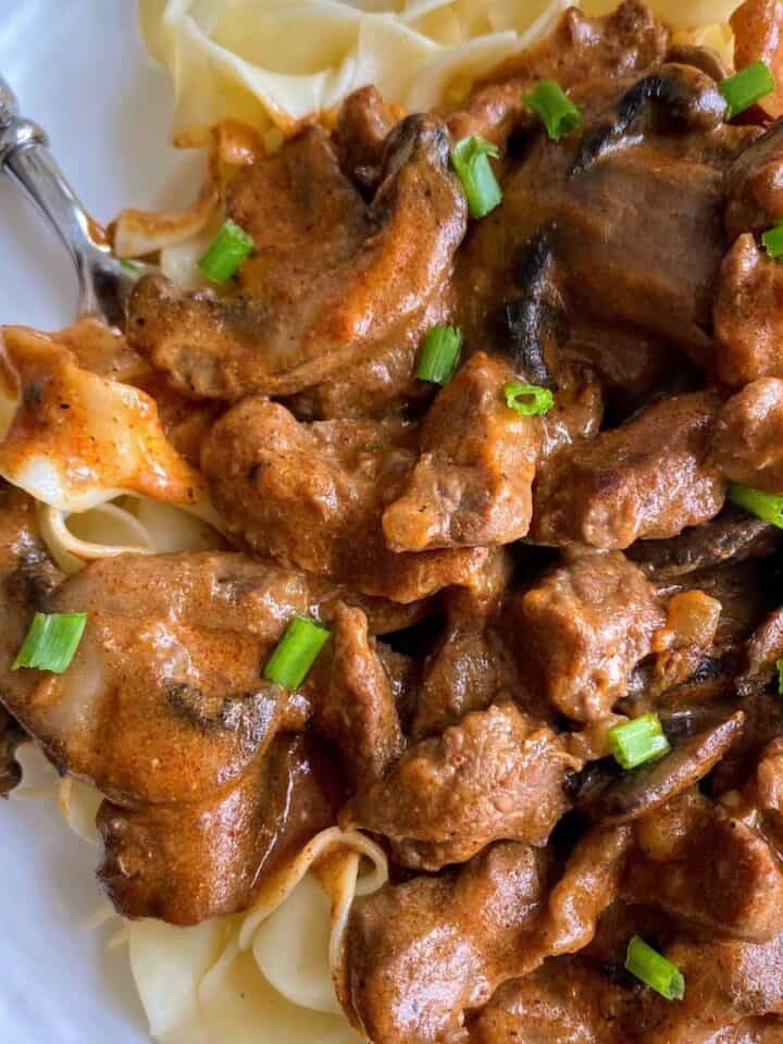 creamy beef and mushroom pasta in bowl with fork