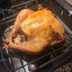 cooked turkey