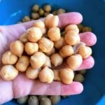 raw chickpeas