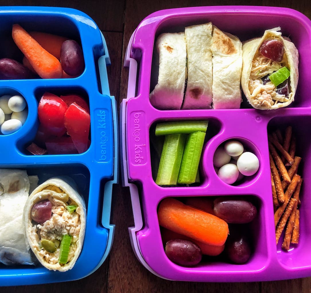 Lunch Box Chicken Salad Wrap | Platein28