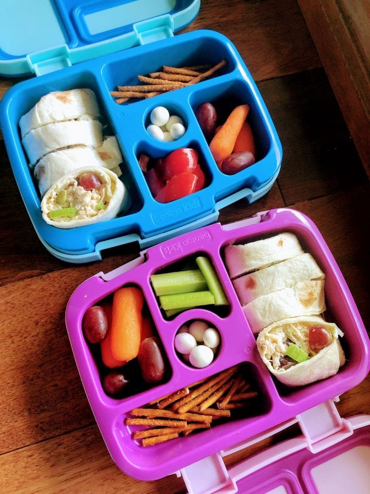 open lunch box for kids with chicken salad wraps, fruits and veggies