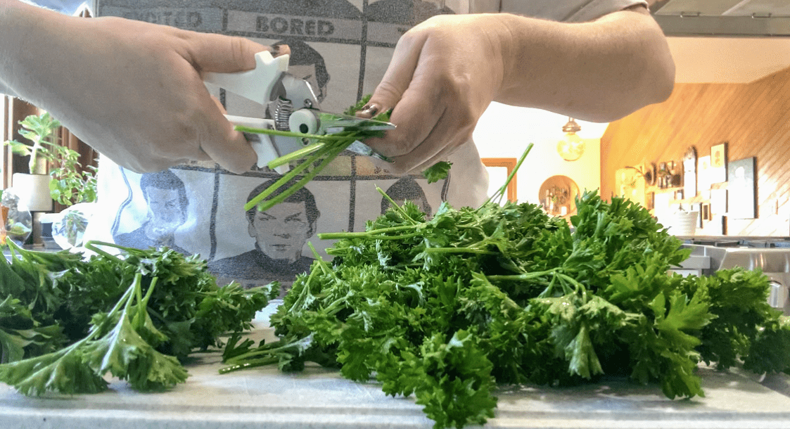 woman trimming herbs with snippers