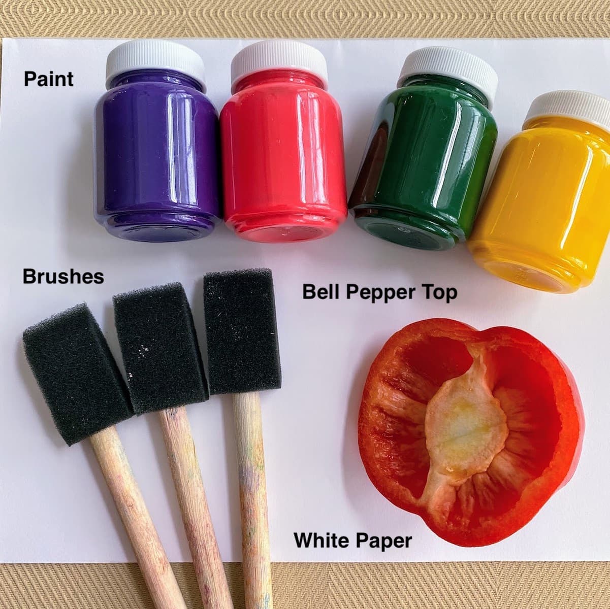 paper paint brushes bell pepper head and paint