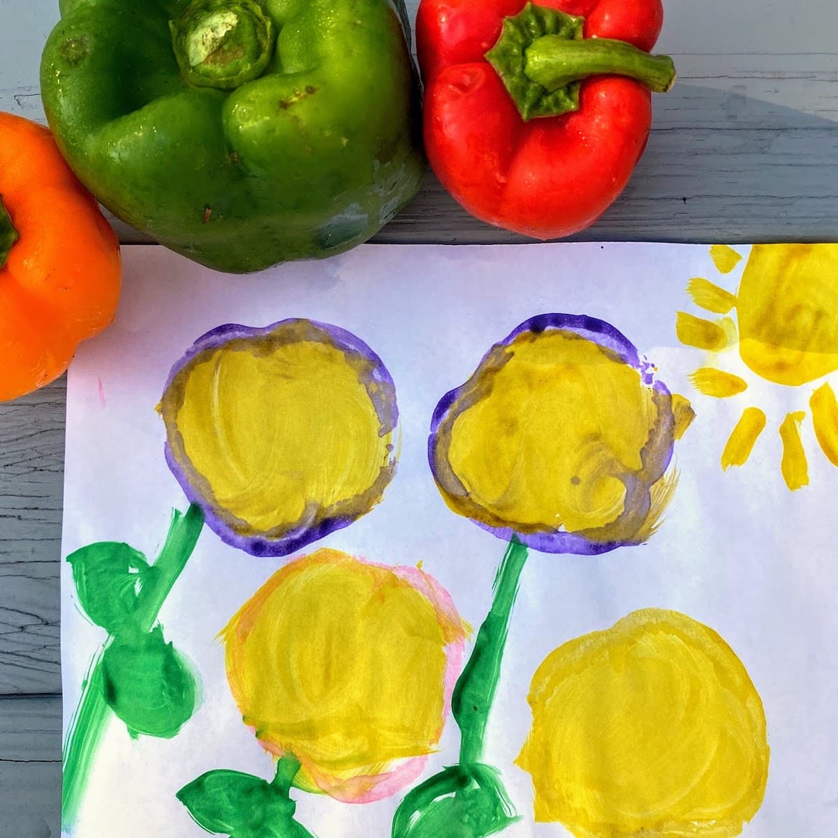 Four bell pepper art stamps on white paper.