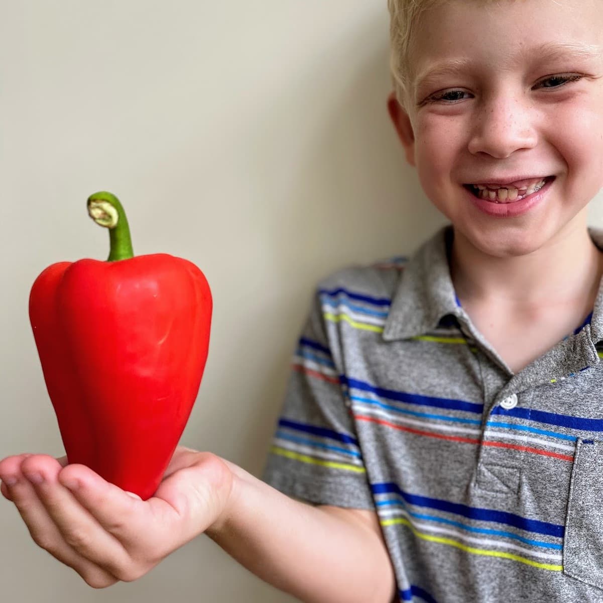 child holding red bell pepper