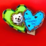 two homemade heart shaped frames with dog photo and valentine's message