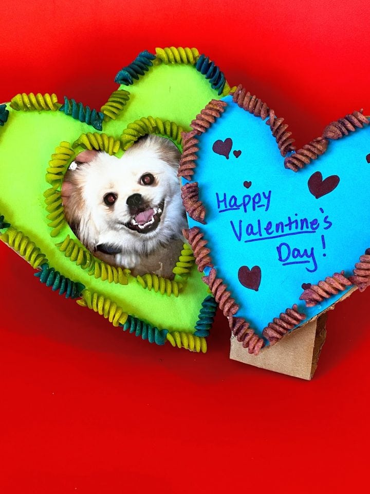two homemade heart shaped frames with dog photo and valentine's message
