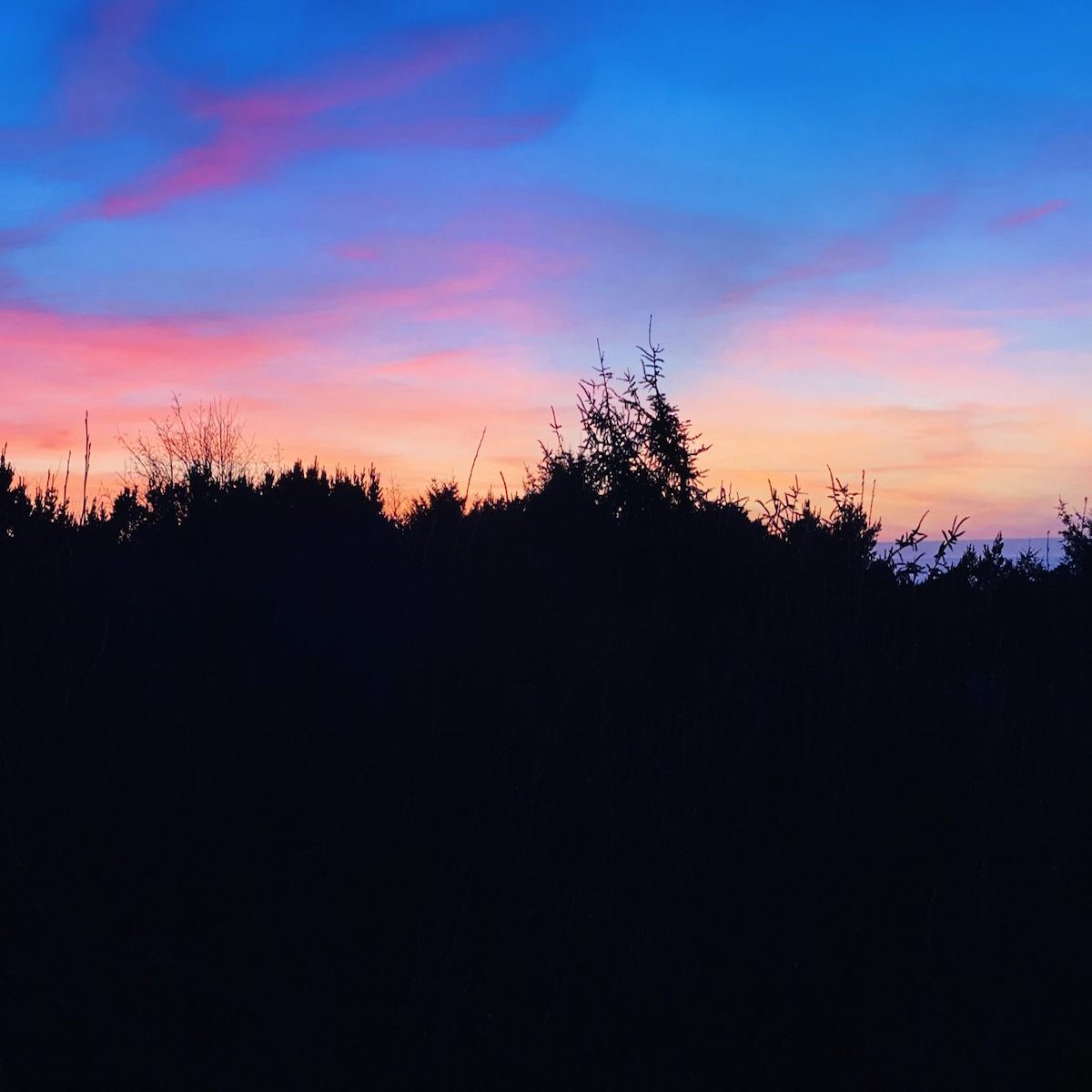 purple blue pink horizon at sunset with black brush