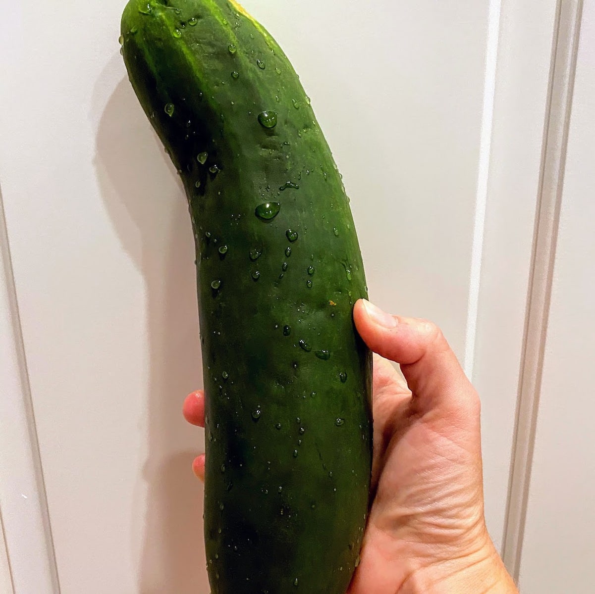 a hand holding a large green cucumber