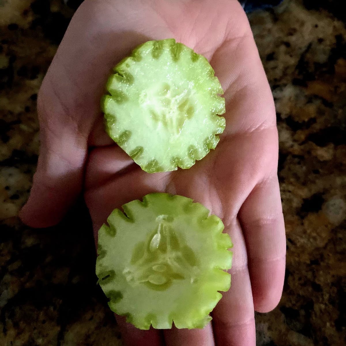 How To Chop Cucumber In Thin Slices 