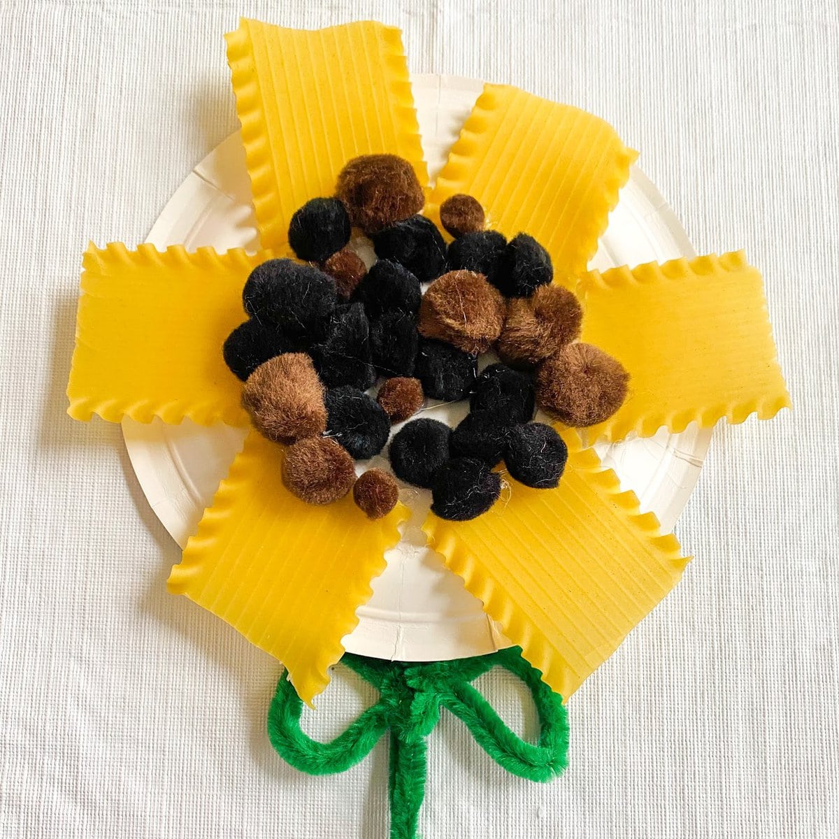 paper plate sunflower with pasta petals