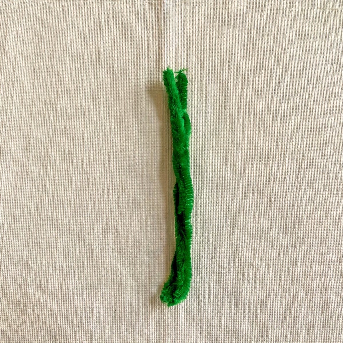 green pipe cleaner folded in half