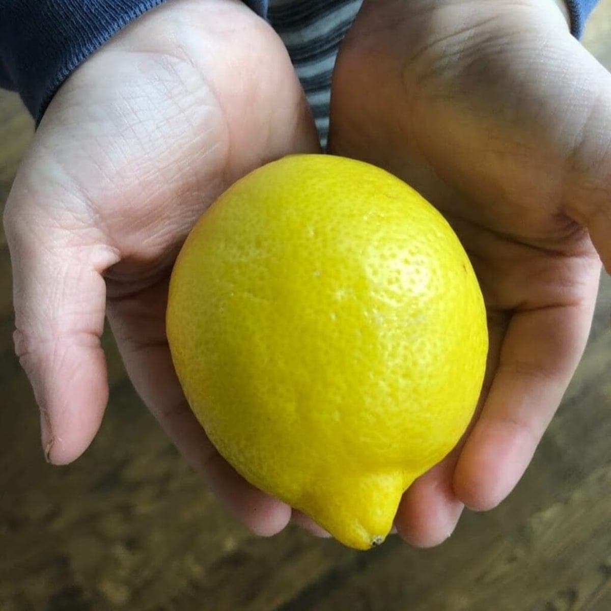 Best way to juice a outlet lemon