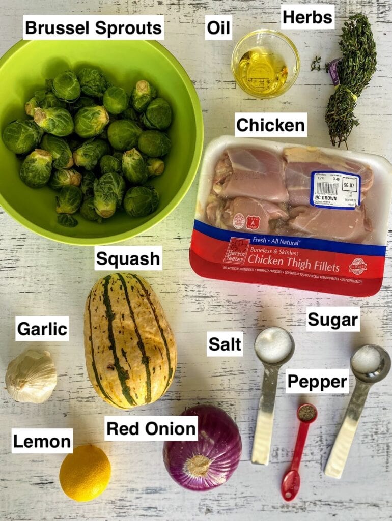 ingredients baked chicken and squash