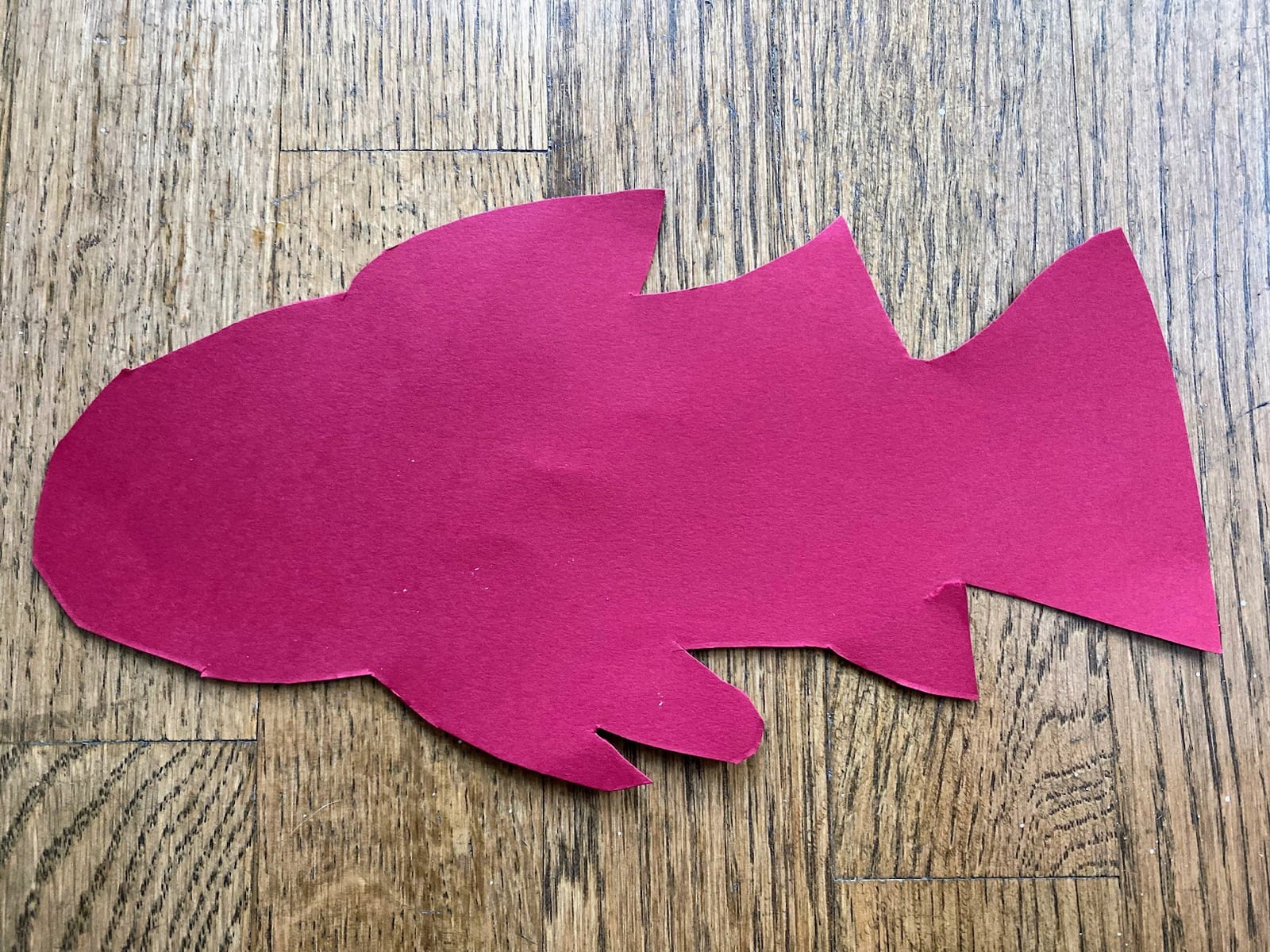 cut out of red fish 