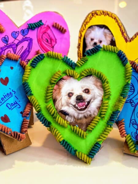 several paper cardboard heart frames