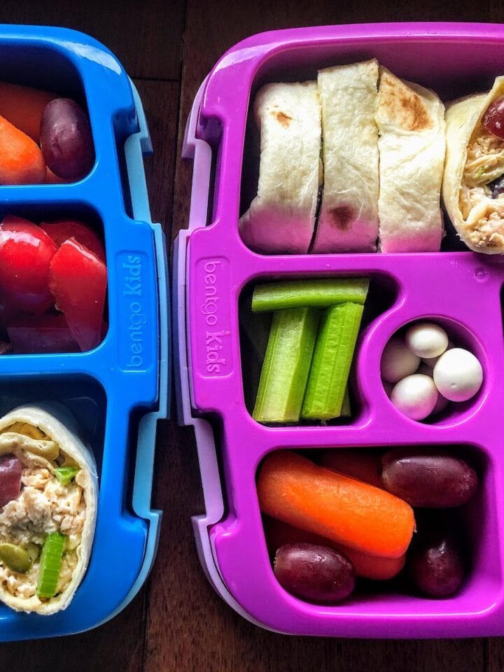 open lunch box for kids with chicken salad wraps, fruits and veggies