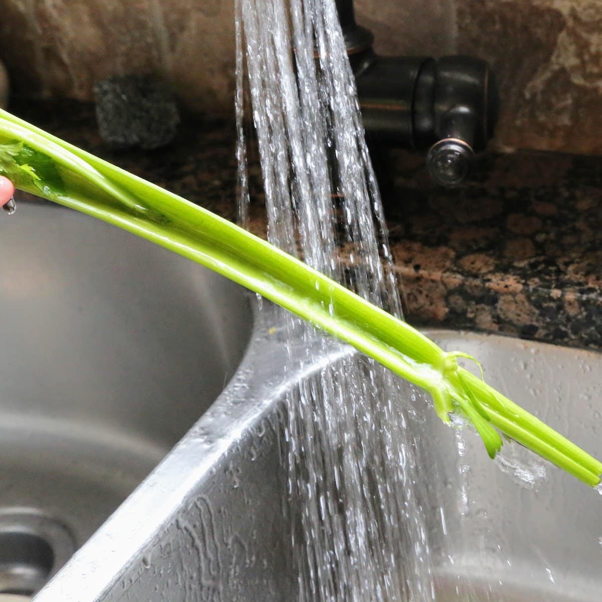 cleaning celery in sink