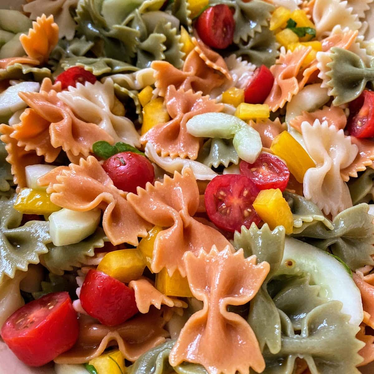 closeup of bow tie pasta salad