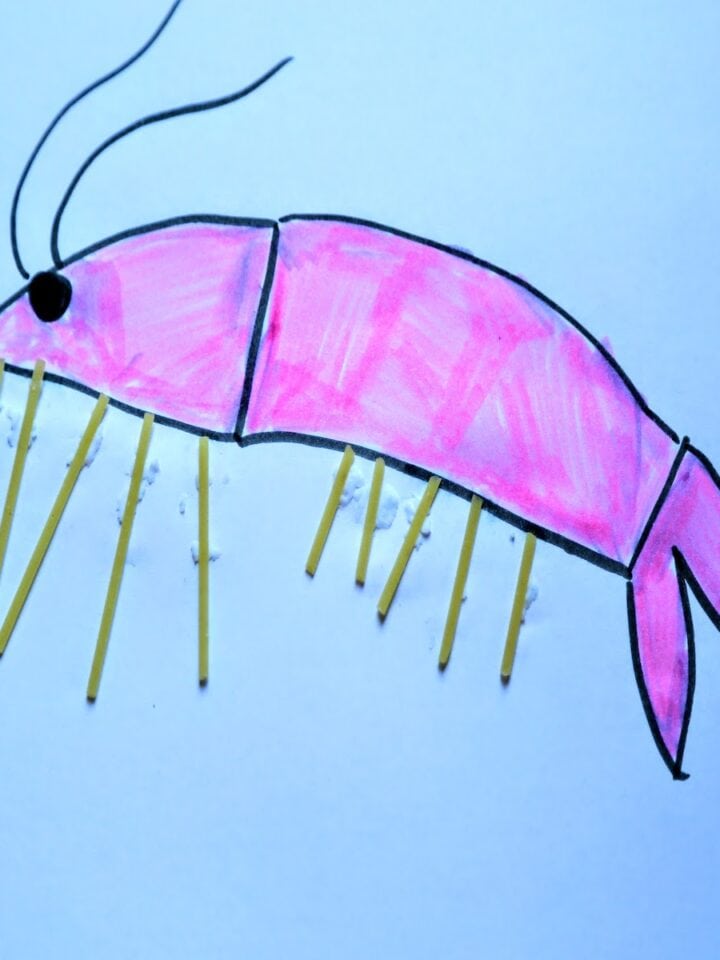 drawing of shrimp with pasta feet