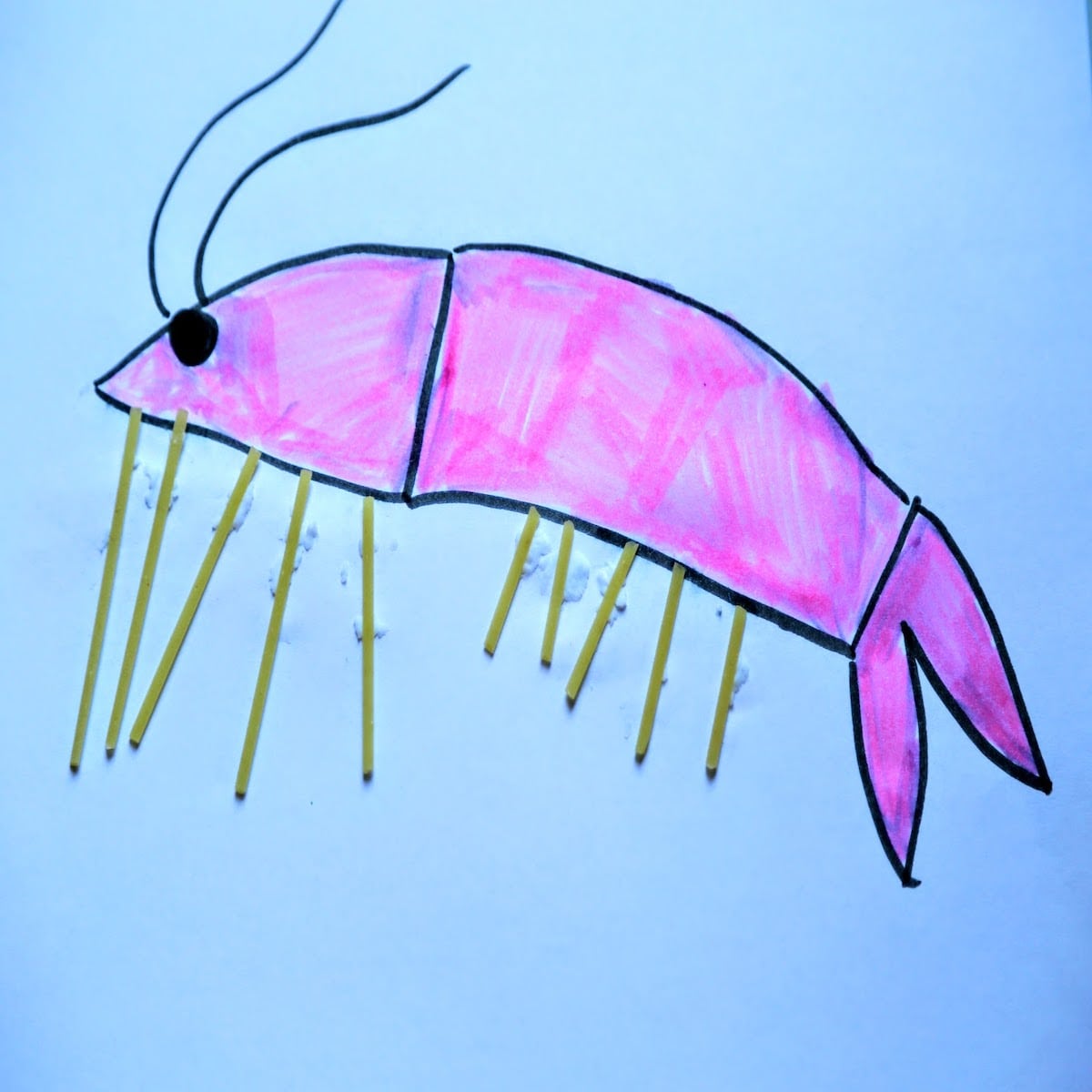 drawing of a pink shrimp with pasta for legs