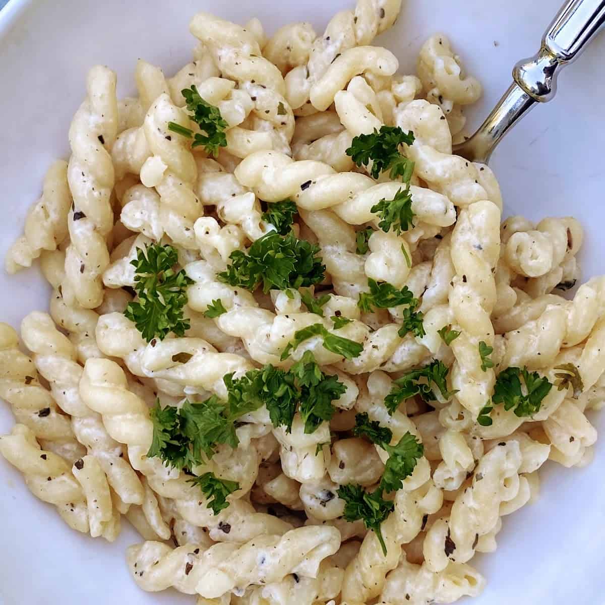 close-up of cream cheese pasta and fork 