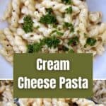pasta in cheese sauce