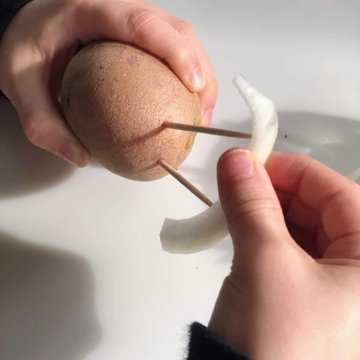 adding toothpick ti potato with onion 