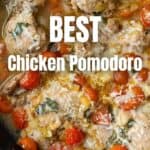 Chicken pomodoro with tomatoes and basil in a pan.