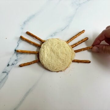 Rund peanut butter and jelly sandfish with eight pretzel sticks to appear like a spider's legs. 