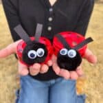 Hands holding two plastic ladybugs with pom poms as faces.