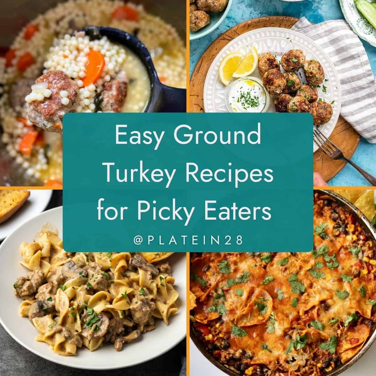 Collage of recipes made with ground turkey for picky eaters.